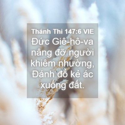 Picture 04 - Thánh Thi 147:6 VIE - Đức Giê-hô-va nâng đỡ người khiêm - Bible Verse Picture