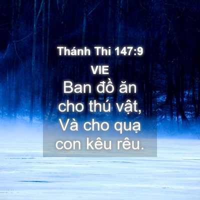Picture 04 - Thánh Thi 147:9 VIE - Ban đồ ăn cho thú vật, Và cho quạ con - Bible Verse Picture