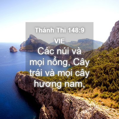Picture 04 - Thánh Thi 148:9 VIE - Các núi và mọi nổng, Cây trái và mọi - Bible Verse Picture