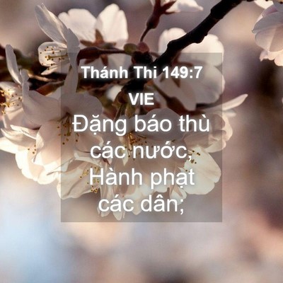 Picture 04 - Thánh Thi 149:7 VIE - Đặng báo thù các nước, Hành phạt các - Bible Verse Picture