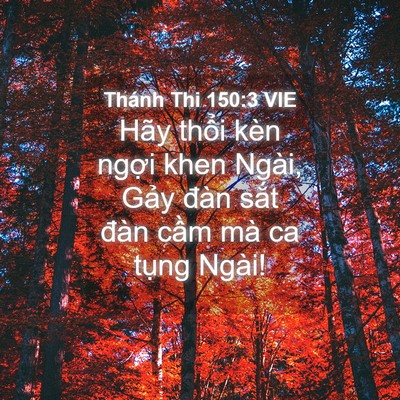 Picture 04 - Thánh Thi 150:3 VIE - Hãy thổi kèn ngợi khen Ngài, Gảy đàn - Bible Verse Picture