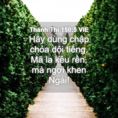 Picture 04 - Thánh Thi 150:5 VIE - Hãy dùng chập chỏa dội tiếng, Mã la - Bible Verse Picture