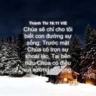 Picture 04 - Thánh Thi 16:11 VIE - Chúa sẽ chỉ cho tôi biết con đường - Bible Verse Picture