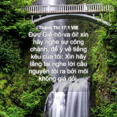 Picture 04 - Thánh Thi 17:1 VIE - Đức Giê-hô-va ôi! xin hãy nghe sự công - Bible Verse Picture
