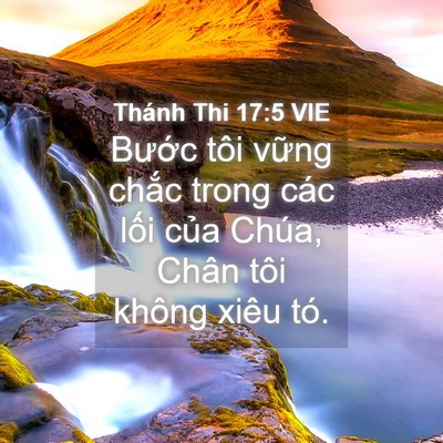 Picture 04 - Thánh Thi 17:5 VIE - Bước tôi vững chắc trong các lối của - Bible Verse Picture