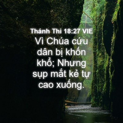 Picture 04 - Thánh Thi 18:27 VIE - Vì Chúa cứu dân bị khốn khổ; Nhưng - Bible Verse Picture