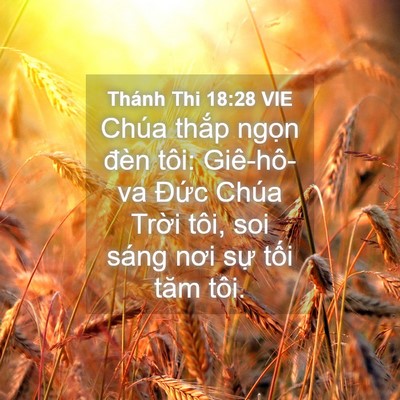 Picture 04 - Thánh Thi 18:28 VIE - Chúa thắp ngọn đèn tôi: Giê-hô-va - Bible Verse Picture
