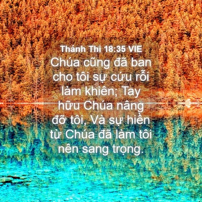Picture 04 - Thánh Thi 18:35 VIE - Chúa cũng đã ban cho tôi sự cứu rỗi - Bible Verse Picture