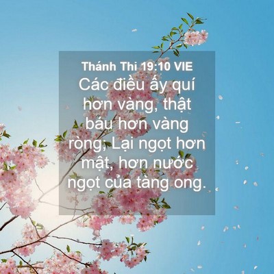 Picture 04 - Thánh Thi 19:10 VIE - Các điều ấy quí hơn vàng, thật báu - Bible Verse Picture