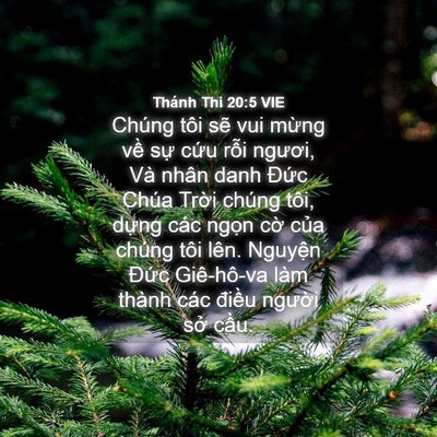 Picture 04 - Thánh Thi 20:5 VIE - Chúng tôi sẽ vui mừng về sự cứu rỗi - Bible Verse Picture