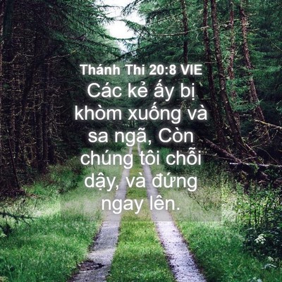Picture 04 - Thánh Thi 20:8 VIE - Các kẻ ấy bị khòm xuống và sa ngã, - Bible Verse Picture