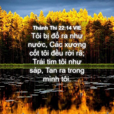 Picture 04 - Thánh Thi 22:14 VIE - Tôi bị đổ ra như nước, Các xương - Bible Verse Picture