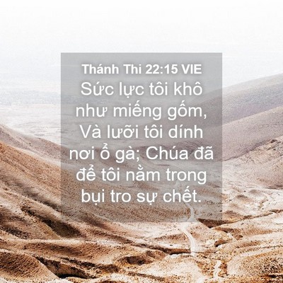 Picture 04 - Thánh Thi 22:15 VIE - Sức lực tôi khô như miếng gốm, Và - Bible Verse Picture