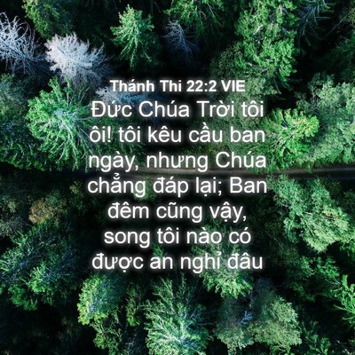 Picture 04 - Thánh Thi 22:2 VIE - Đức Chúa Trời tôi ôi! tôi kêu cầu ban - Bible Verse Picture