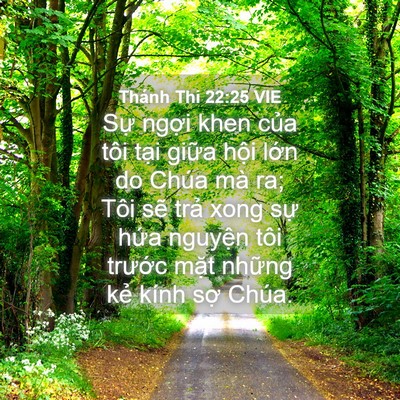 Picture 04 - Thánh Thi 22:25 VIE - Sự ngợi khen của tôi tại giữa hội - Bible Verse Picture