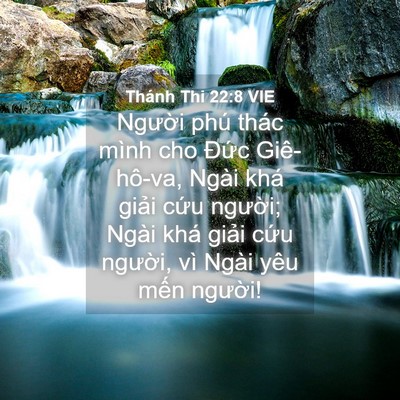 Picture 04 - Thánh Thi 22:8 VIE - Người phú thác mình cho Đức Giê-hô-va, - Bible Verse Picture