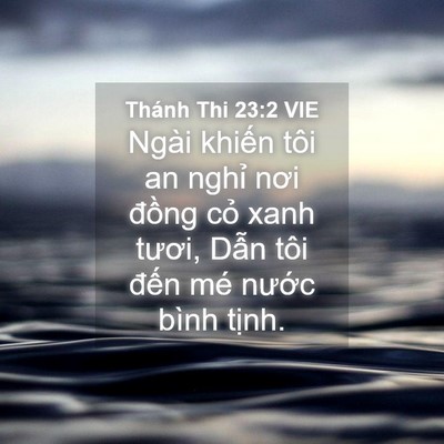 Picture 04 - Thánh Thi 23:2 VIE - Ngài khiến tôi an nghỉ nơi đồng cỏ - Bible Verse Picture