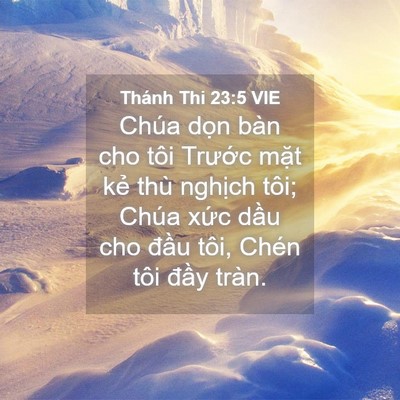 Picture 04 - Thánh Thi 23:5 VIE - Chúa dọn bàn cho tôi Trước mặt kẻ - Bible Verse Picture