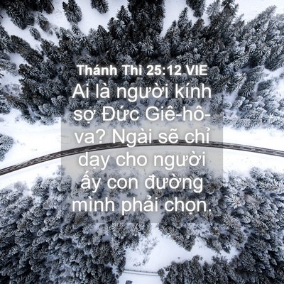 Picture 04 - Thánh Thi 25:12 VIE - Ai là người kính sợ Đức Giê-hô-va? - Bible Verse Picture