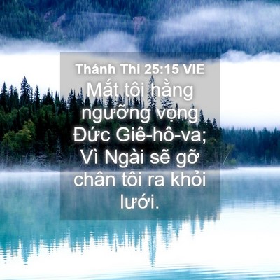 Picture 04 - Thánh Thi 25:15 VIE - Mắt tôi hằng ngưỡng vọng Đức - Bible Verse Picture