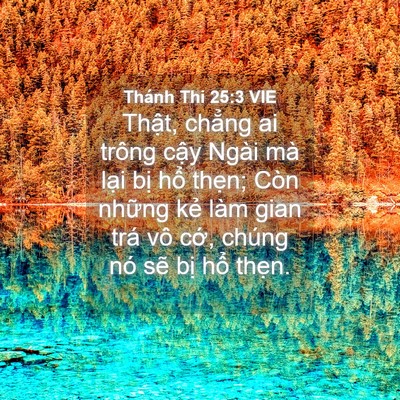 Picture 04 - Thánh Thi 25:3 VIE - Thật, chẳng ai trông cậy Ngài mà lại - Bible Verse Picture