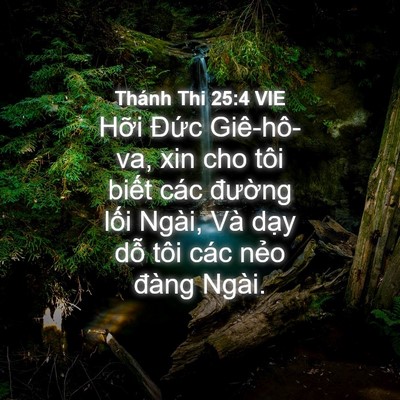 Picture 04 - Thánh Thi 25:4 VIE - Hỡi Đức Giê-hô-va, xin cho tôi biết - Bible Verse Picture
