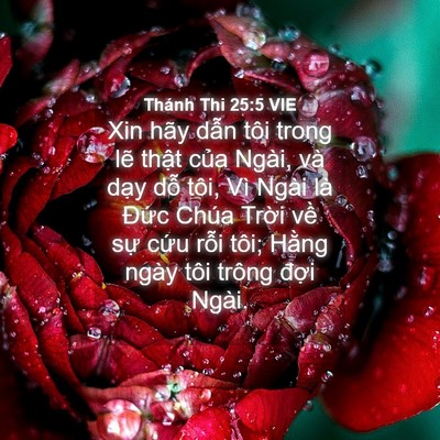 Picture 04 - Thánh Thi 25:5 VIE - Xin hãy dẫn tôi trong lẽ thật của - Bible Verse Picture