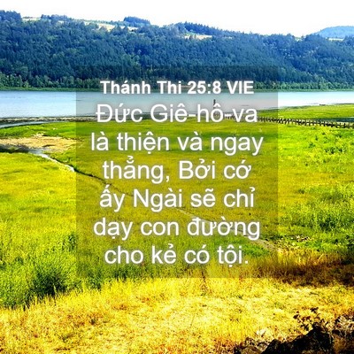 Picture 04 - Thánh Thi 25:8 VIE - Đức Giê-hô-va là thiện và ngay thẳng, - Bible Verse Picture