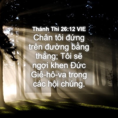 Picture 04 - Thánh Thi 26:12 VIE - Chân tôi đứng trên đường bằng - Bible Verse Picture