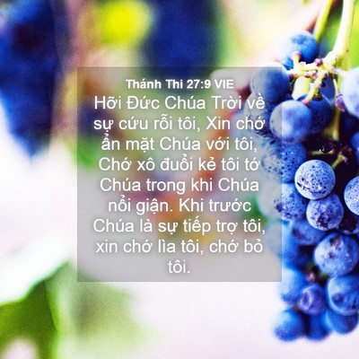 Picture 04 - Thánh Thi 27:9 VIE - Hỡi Đức Chúa Trời về sự cứu rỗi - Bible Verse Picture