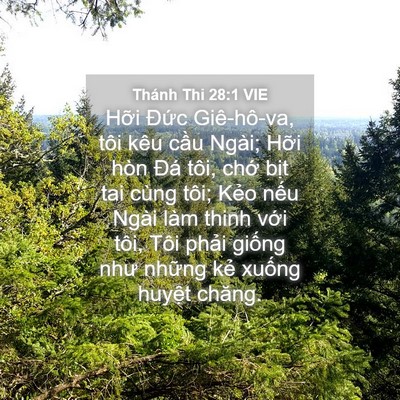 Picture 04 - Thánh Thi 28:1 VIE - Hỡi Đức Giê-hô-va, tôi kêu cầu Ngài; - Bible Verse Picture