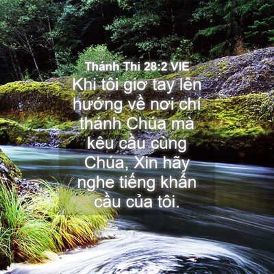 Picture 04 - Thánh Thi 28:2 VIE - Khi tôi giơ tay lên hướng về nơi chí - Bible Verse Picture