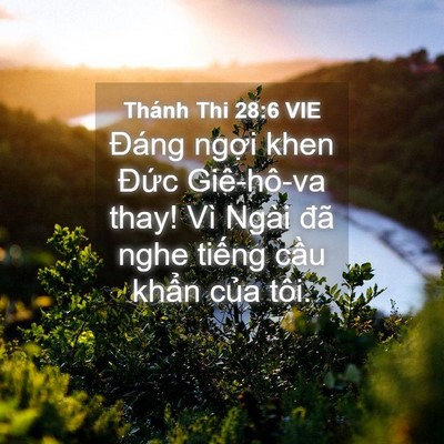 Picture 04 - Thánh Thi 28:6 VIE - Đáng ngợi khen Đức Giê-hô-va thay! Vì - Bible Verse Picture