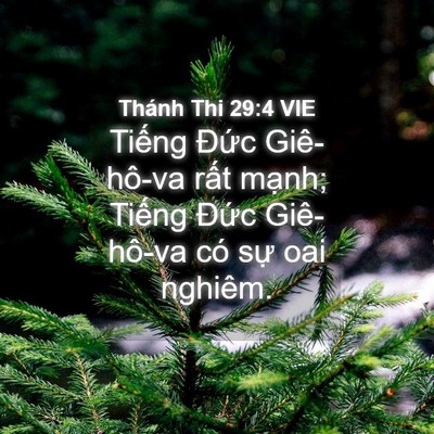 Picture 04 - Thánh Thi 29:4 VIE - Tiếng Đức Giê-hô-va rất mạnh; Tiếng - Bible Verse Picture