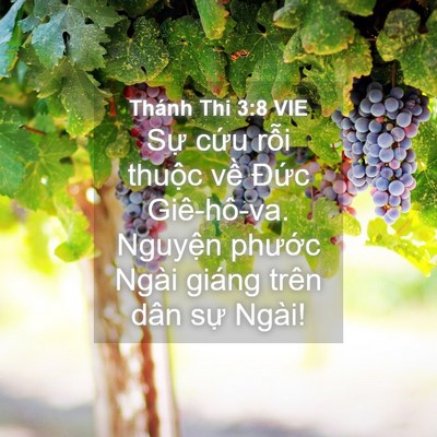 Picture 04 - Thánh Thi 3:8 VIE - Sự cứu rỗi thuộc về Đức Giê-hô-va. - Bible Verse Picture