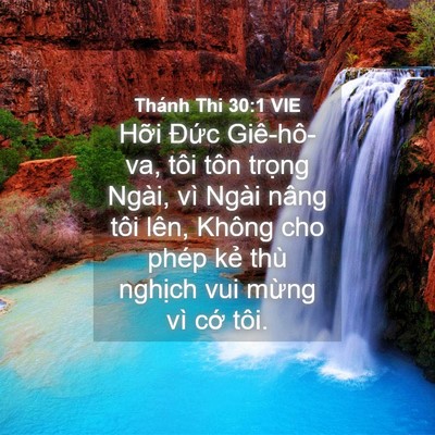 Picture 04 - Thánh Thi 30:1 VIE - Hỡi Đức Giê-hô-va, tôi tôn trọng - Bible Verse Picture