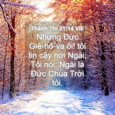 Picture 04 - Thánh Thi 31:14 VIE - Nhưng Đức Giê-hô-va ôi! tôi tin cậy - Bible Verse Picture