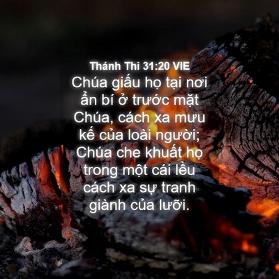 Picture 04 - Thánh Thi 31:20 VIE - Chúa giấu họ tại nơi ẩn bí ở - Bible Verse Picture