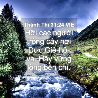 Picture 04 - Thánh Thi 31:24 VIE - Hỡi các người trông cậy nơi Đức - Bible Verse Picture