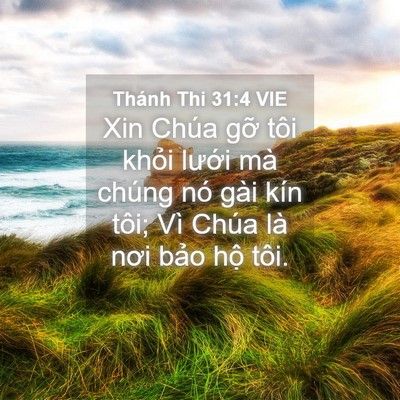 Picture 04 - Thánh Thi 31:4 VIE - Xin Chúa gỡ tôi khỏi lưới mà chúng nó - Bible Verse Picture