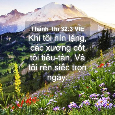 Picture 04 - Thánh Thi 32:3 VIE - Khi tôi nín lặng, các xương cốt tôi - Bible Verse Picture
