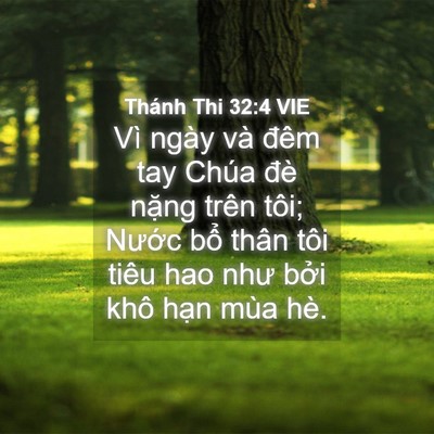 Picture 04 - Thánh Thi 32:4 VIE - Vì ngày và đêm tay Chúa đè nặng trên - Bible Verse Picture