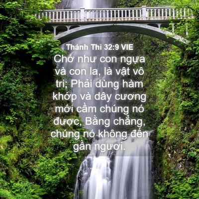 Picture 04 - Thánh Thi 32:9 VIE - Chớ như con ngựa và con la, là vật vô - Bible Verse Picture