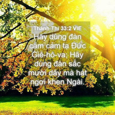 Picture 04 - Thánh Thi 33:2 VIE - Hãy dùng đàn cầm cảm tạ Đức - Bible Verse Picture