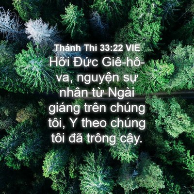 Picture 04 - Thánh Thi 33:22 VIE - Hỡi Đức Giê-hô-va, nguyện sự nhân - Bible Verse Picture