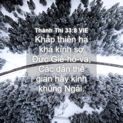 Picture 04 - Thánh Thi 33:8 VIE - Khắp thiên hạ khá kính sợ Đức - Bible Verse Picture