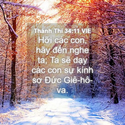Picture 04 - Thánh Thi 34:11 VIE - Hỡi các con, hãy đến nghe ta; Ta sẽ - Bible Verse Picture