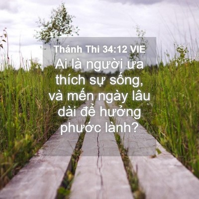 Picture 04 - Thánh Thi 34:12 VIE - Ai là người ưa thích sự sống, và mến - Bible Verse Picture