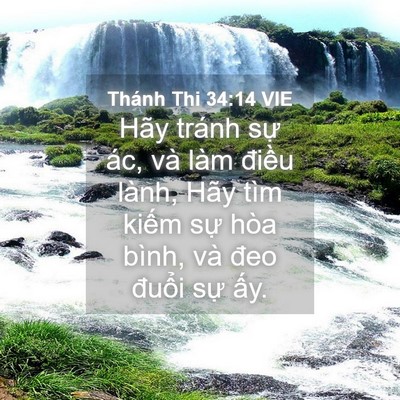 Picture 04 - Thánh Thi 34:14 VIE - Hãy tránh sự ác, và làm điều lành, - Bible Verse Picture