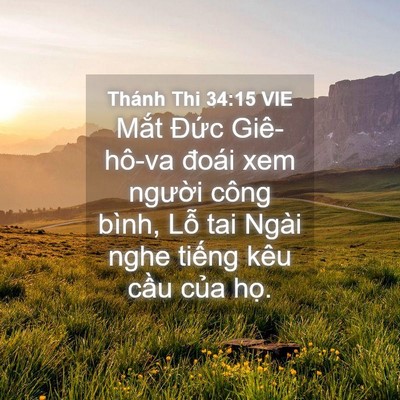 Picture 04 - Thánh Thi 34:15 VIE - Mắt Đức Giê-hô-va đoái xem người - Bible Verse Picture